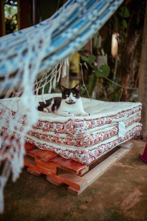 Tenda Da Lua Alto Paraíso de Goiás Eksteriør bilde
